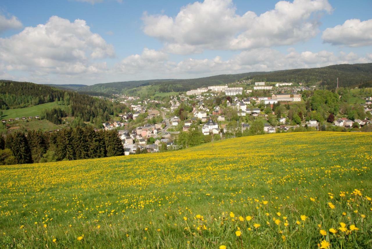 Ferienwohnung Koernerberg Klingenthal Exterior foto